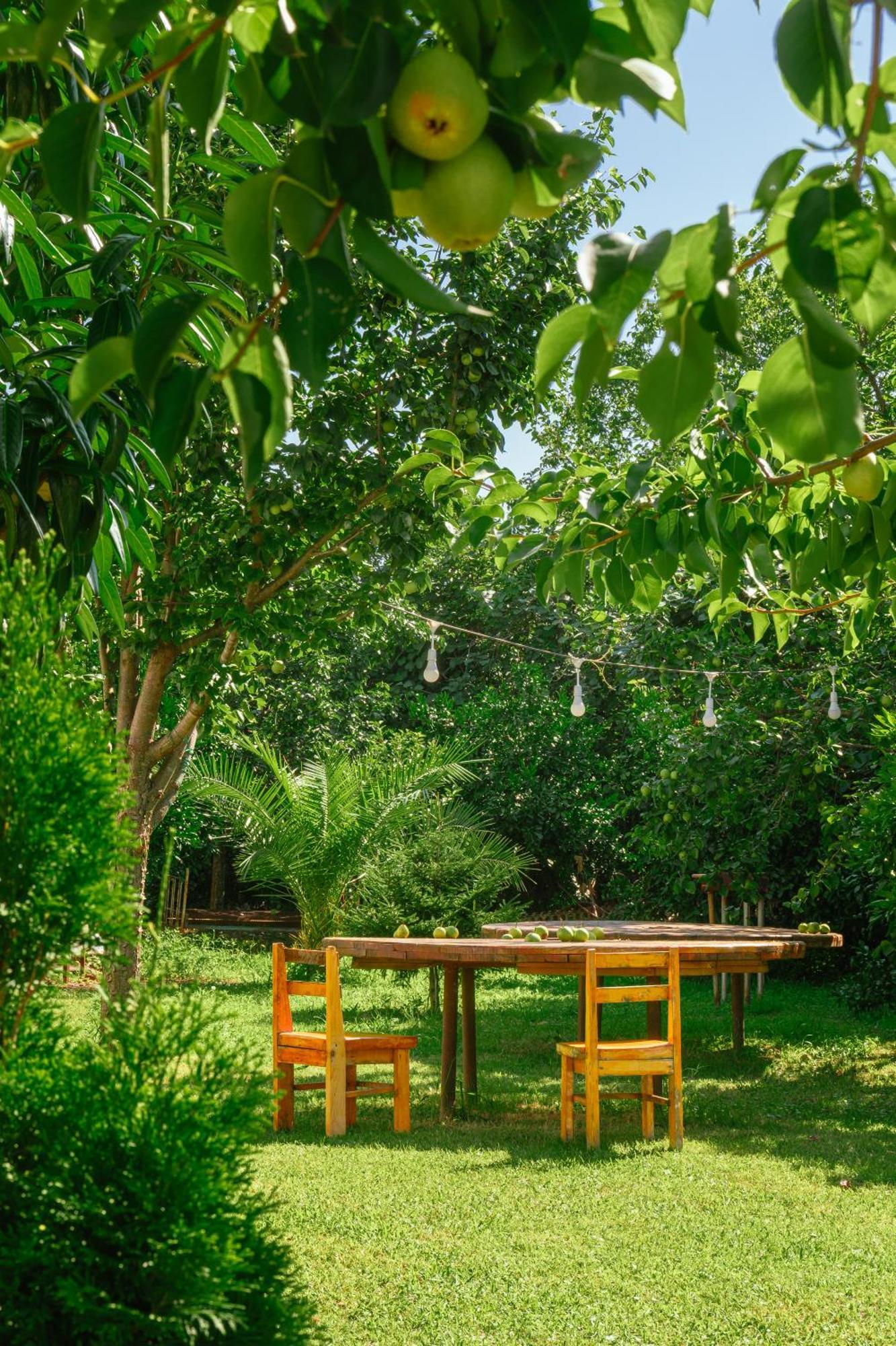 Senima'S Paradise Batoumi Extérieur photo